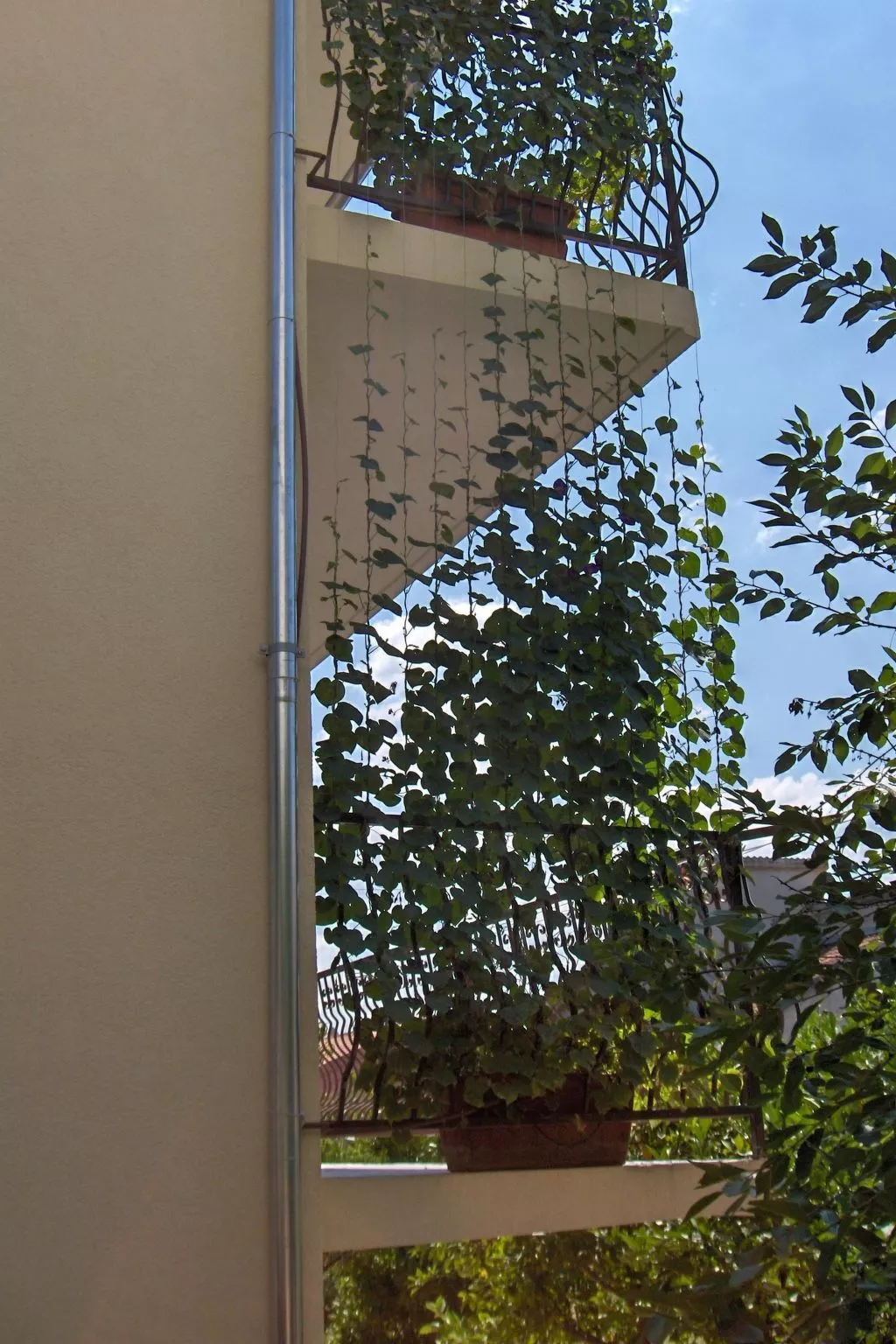 Wohnung im Hochparterre-Buiten