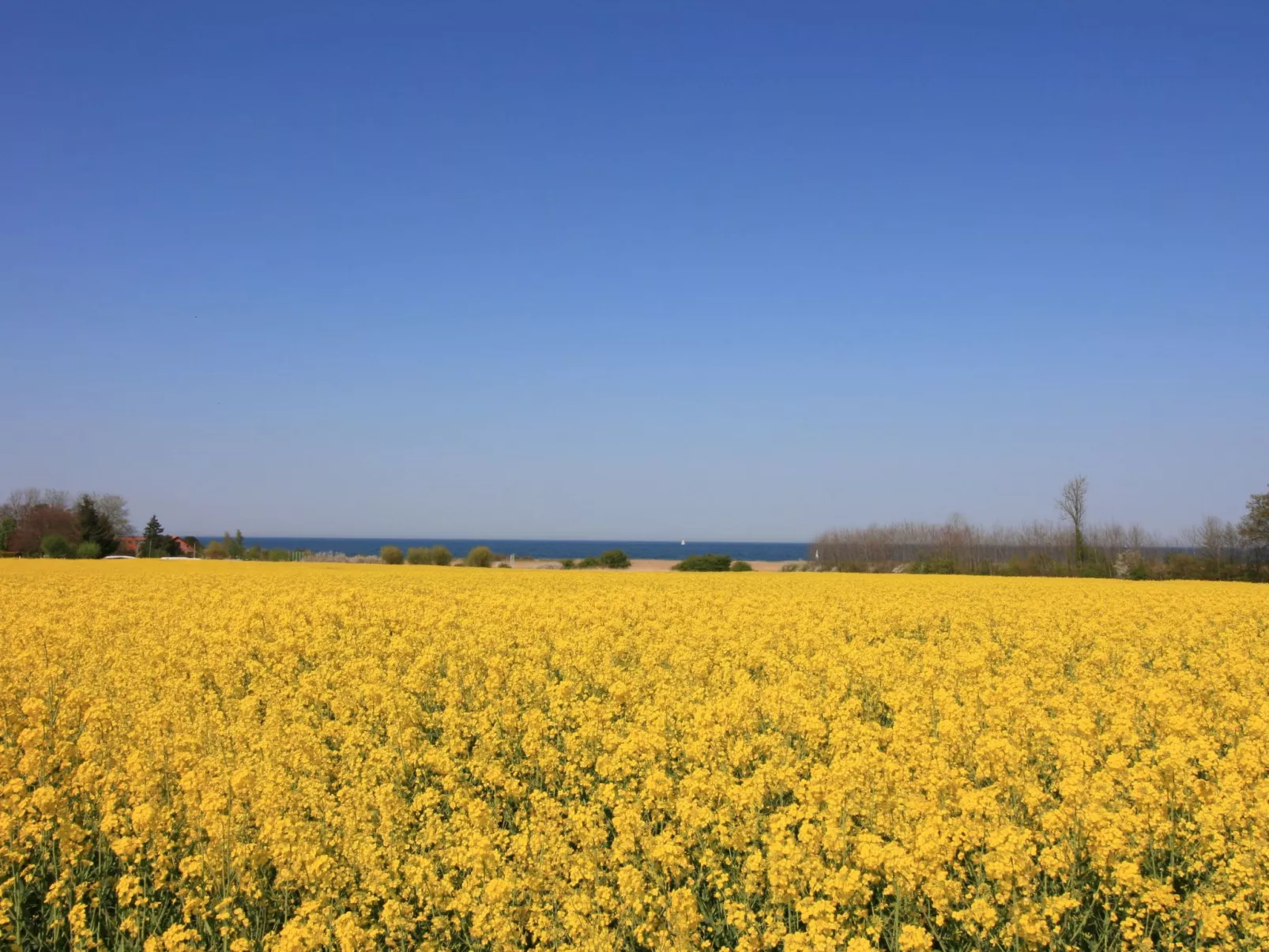 Tolle Ferienwohnung in Schönberger Strand-Buiten