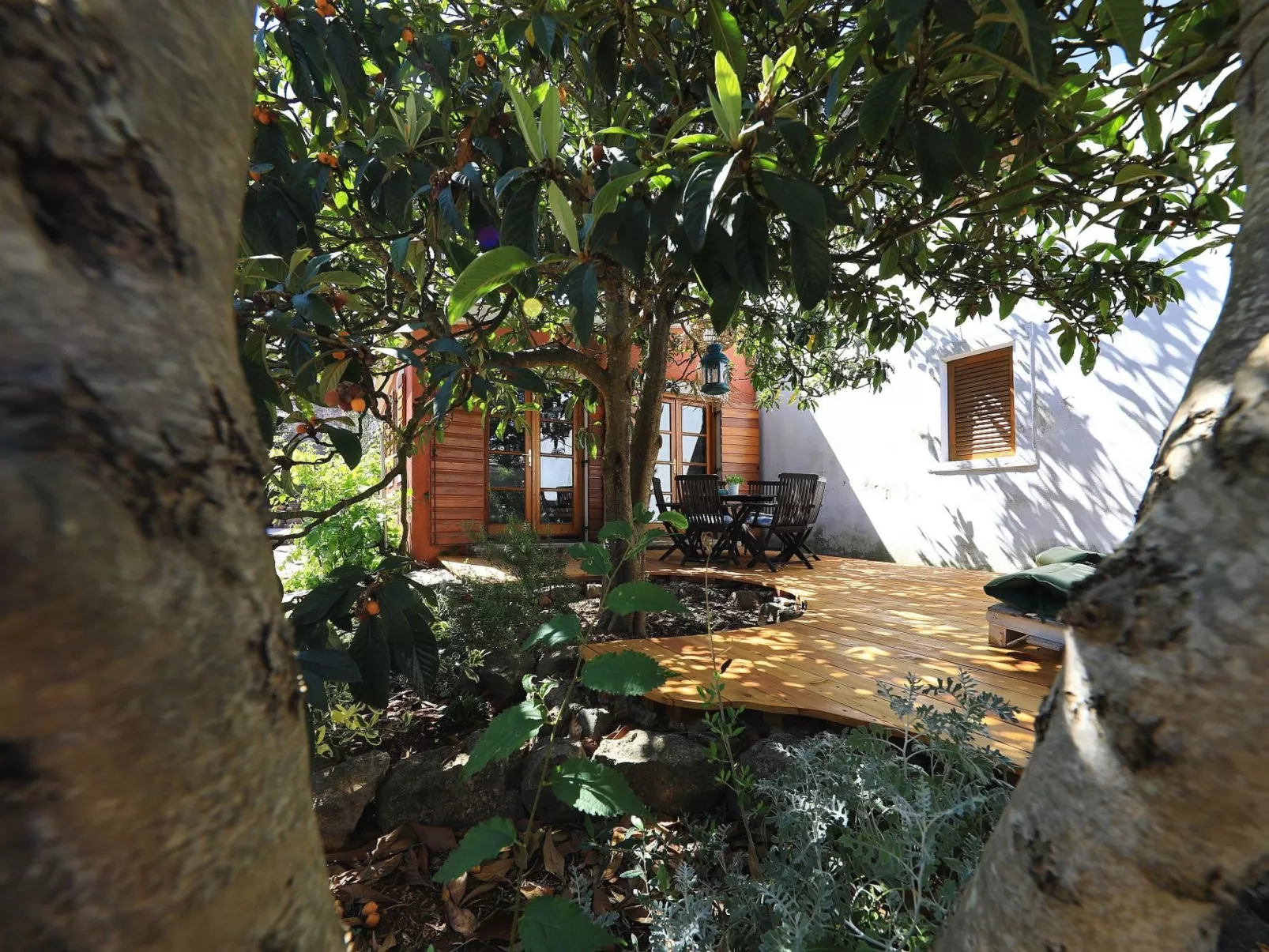 Stara frajla - Buiten