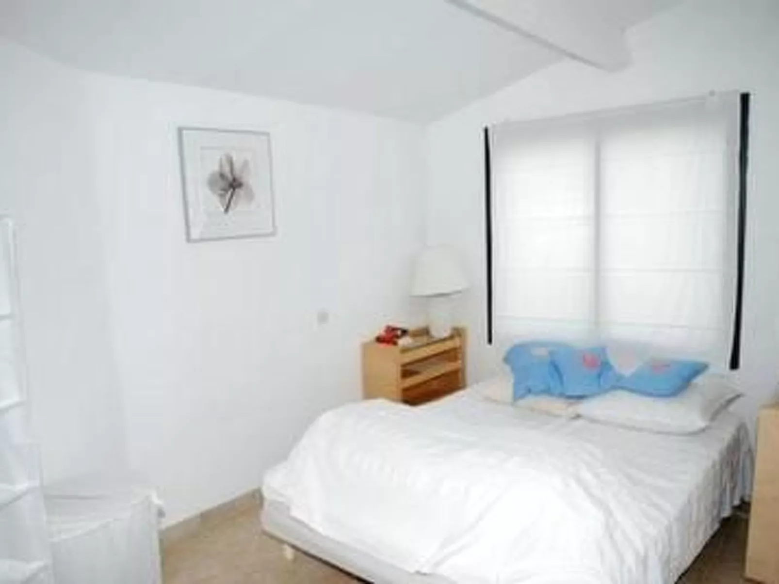 Die kleine Zikade-Binnen