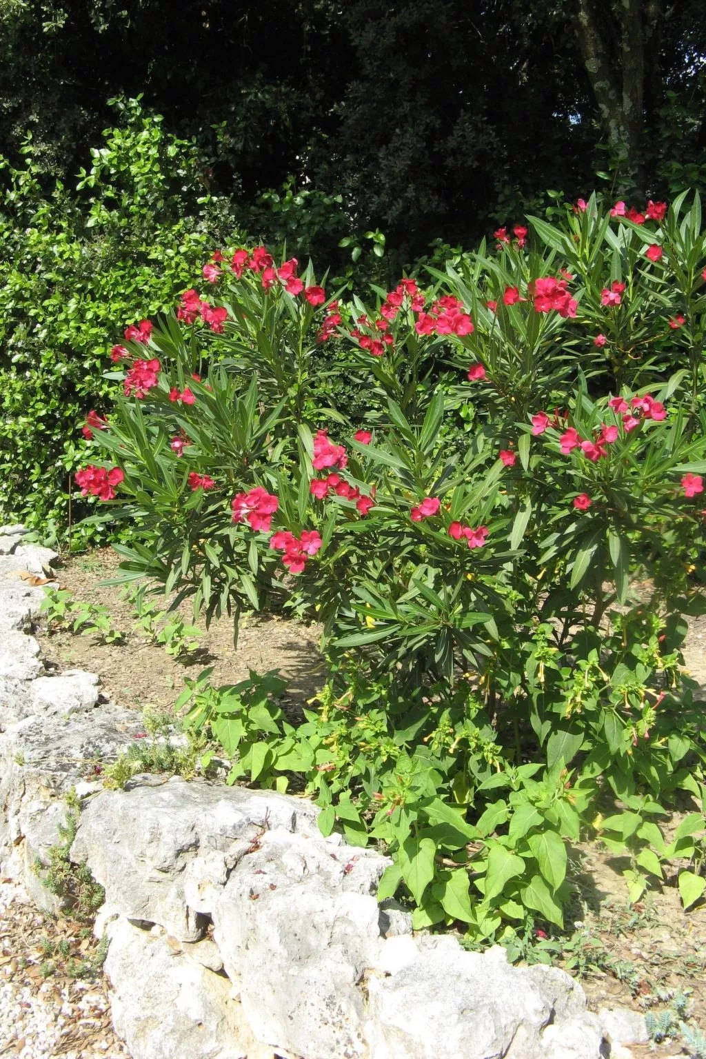 À l'abri du Mistral-Buiten