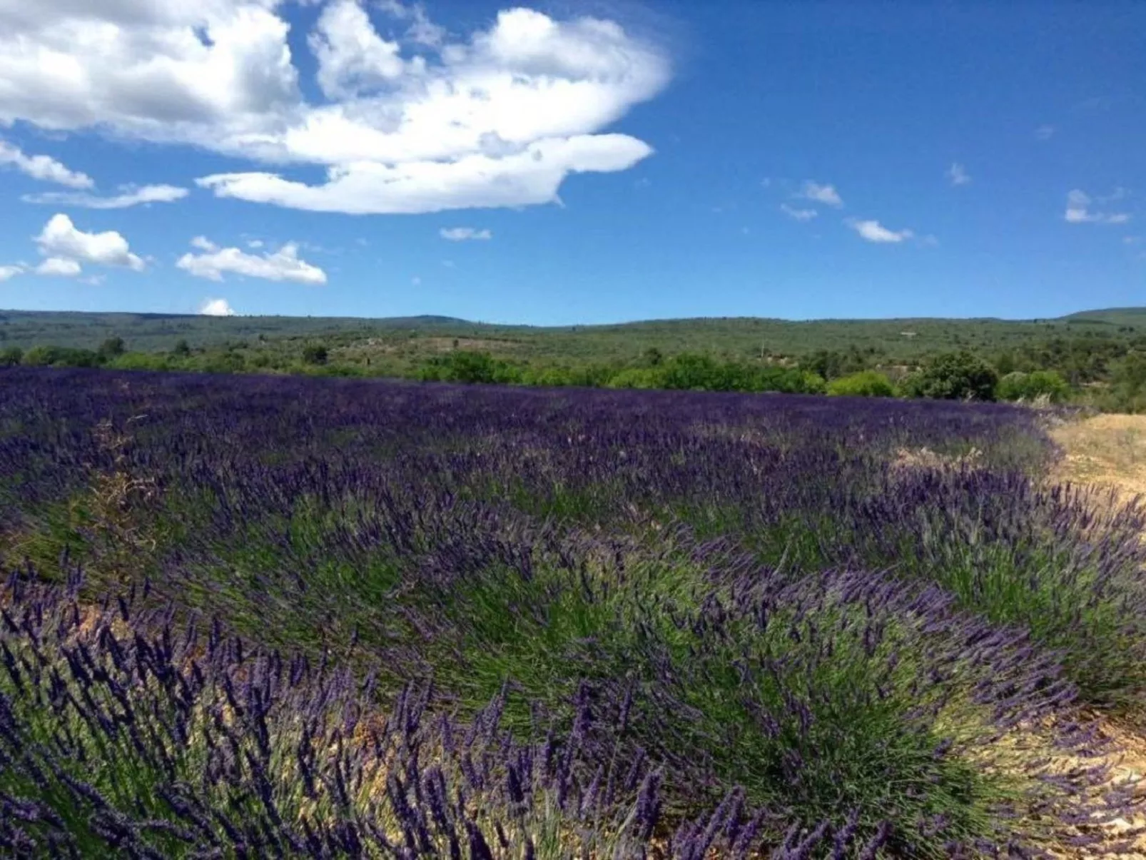 Morard - Bonnieux Appt Bleu Provence-Buiten