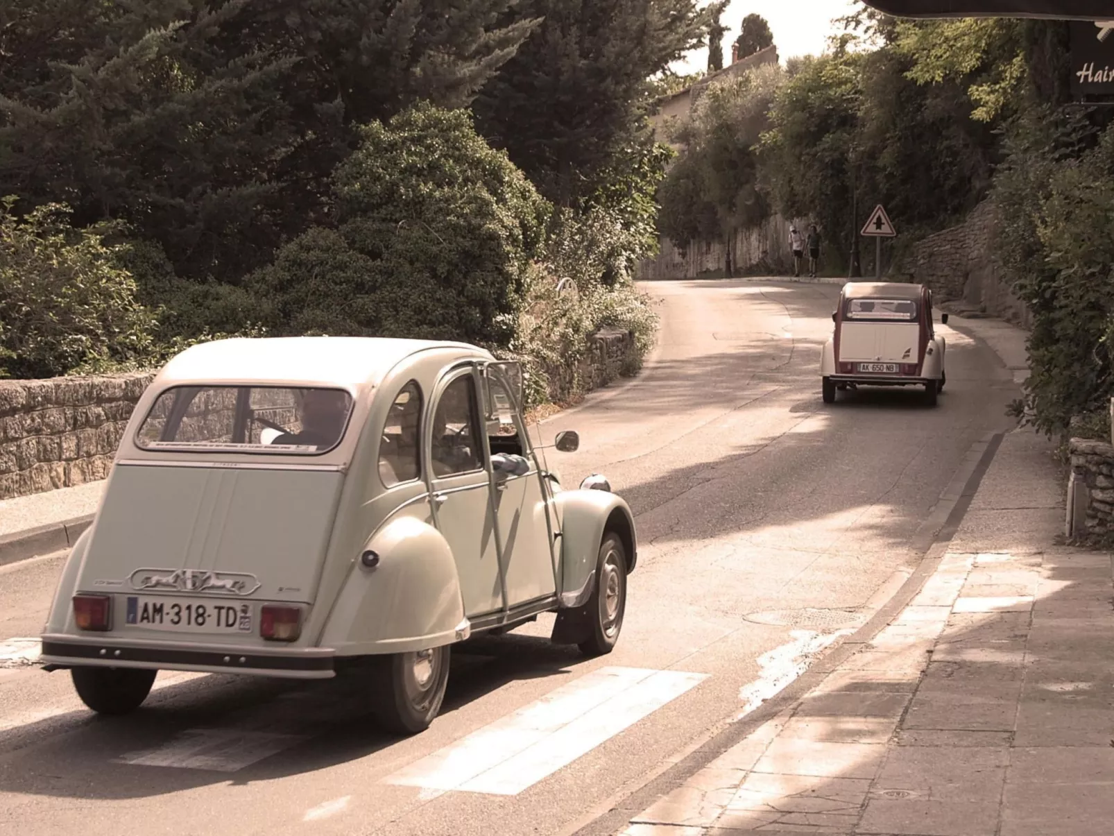 Cypres du Paradis-Buiten