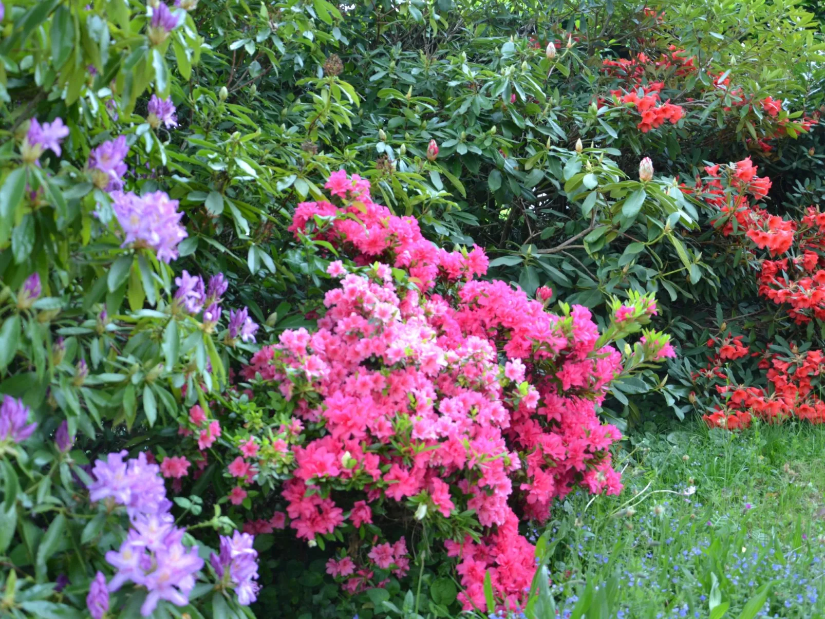 Villa La Côte du Chat -Familienhaus Bretagne-Buiten