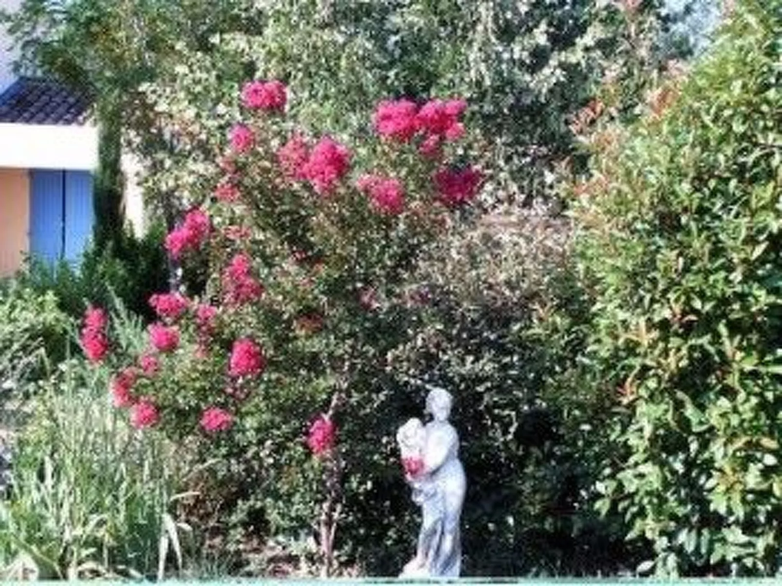 Komfortables Ferienhaus mit Gemeinschaftspool-Buiten