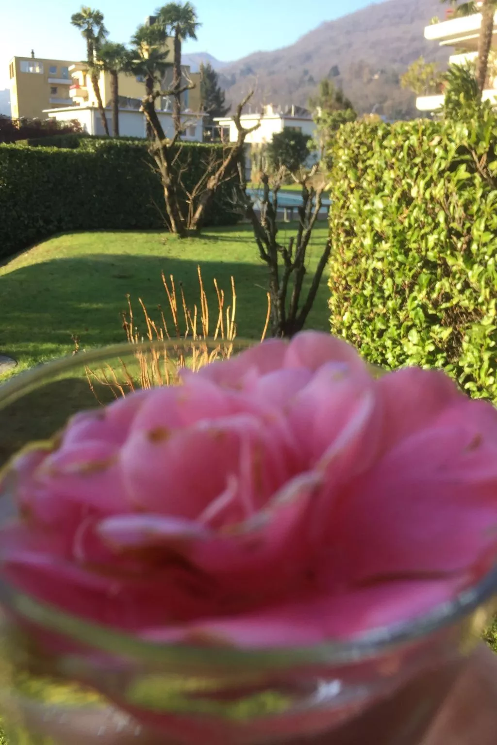 Gartenwohnung im Tessin mit Swimmingpool-Image-tags.info