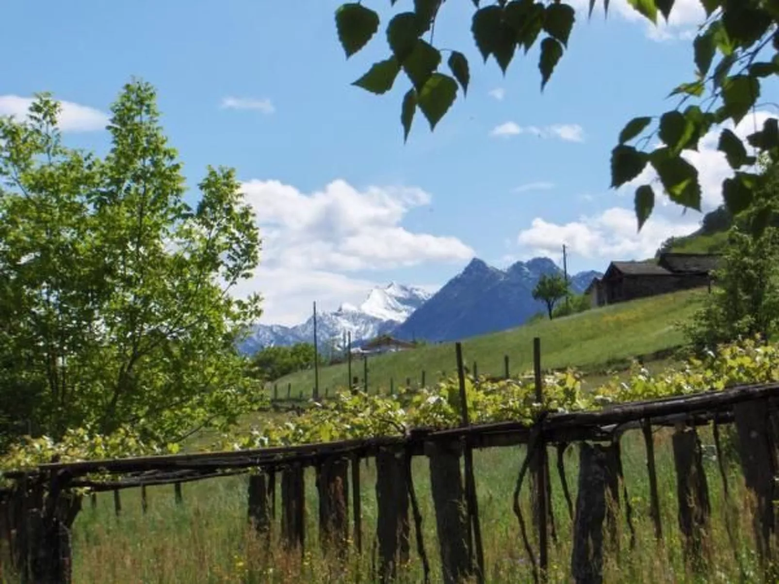 Casa Giardino Grande-Buiten