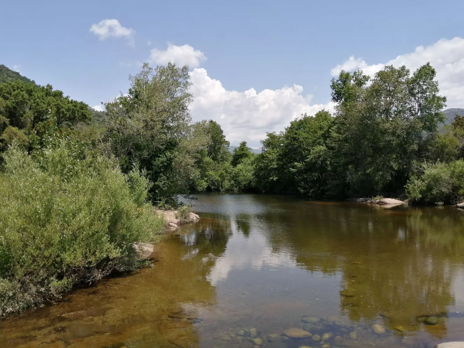 Corse du Sud 10mn von den Stränden entfernt - Olmeto App 4P-Buiten