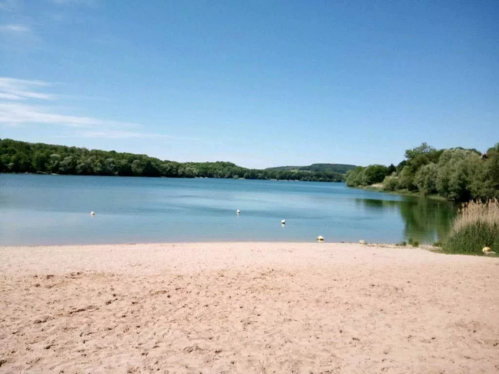 In Celles-En-Bassigny  umzäunter Garten-Buiten