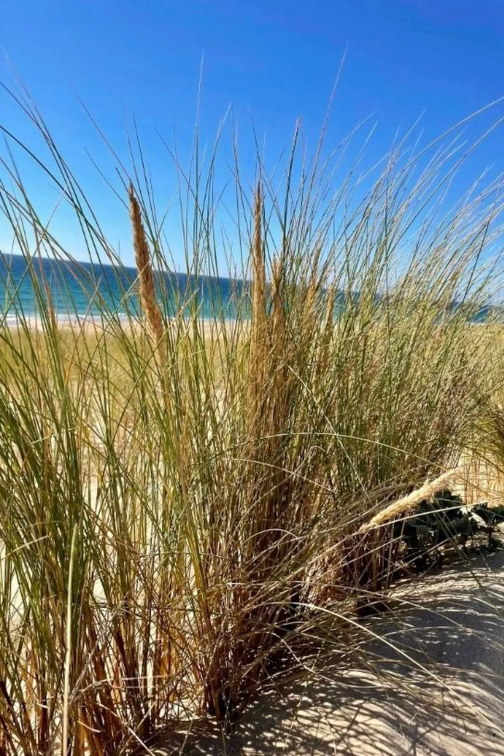 10 p mit beheiztem Pool-Buiten