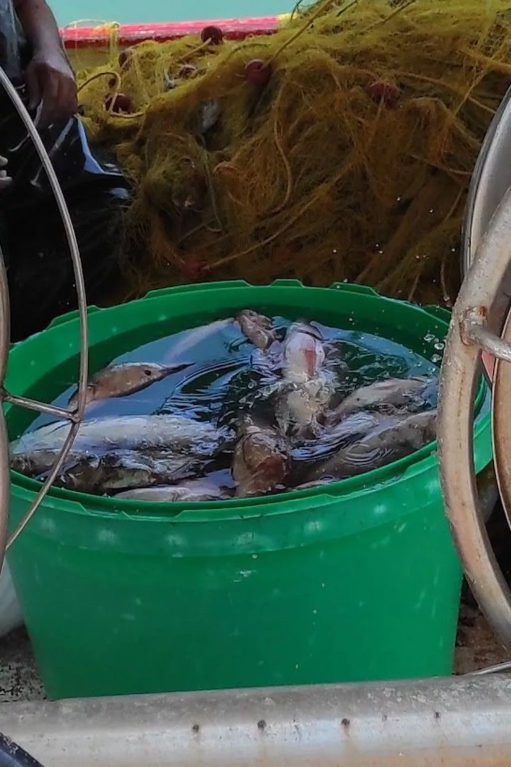 Mit Privatpool für 12 Personen in Agia Galini, Kreta-Image-tags.info