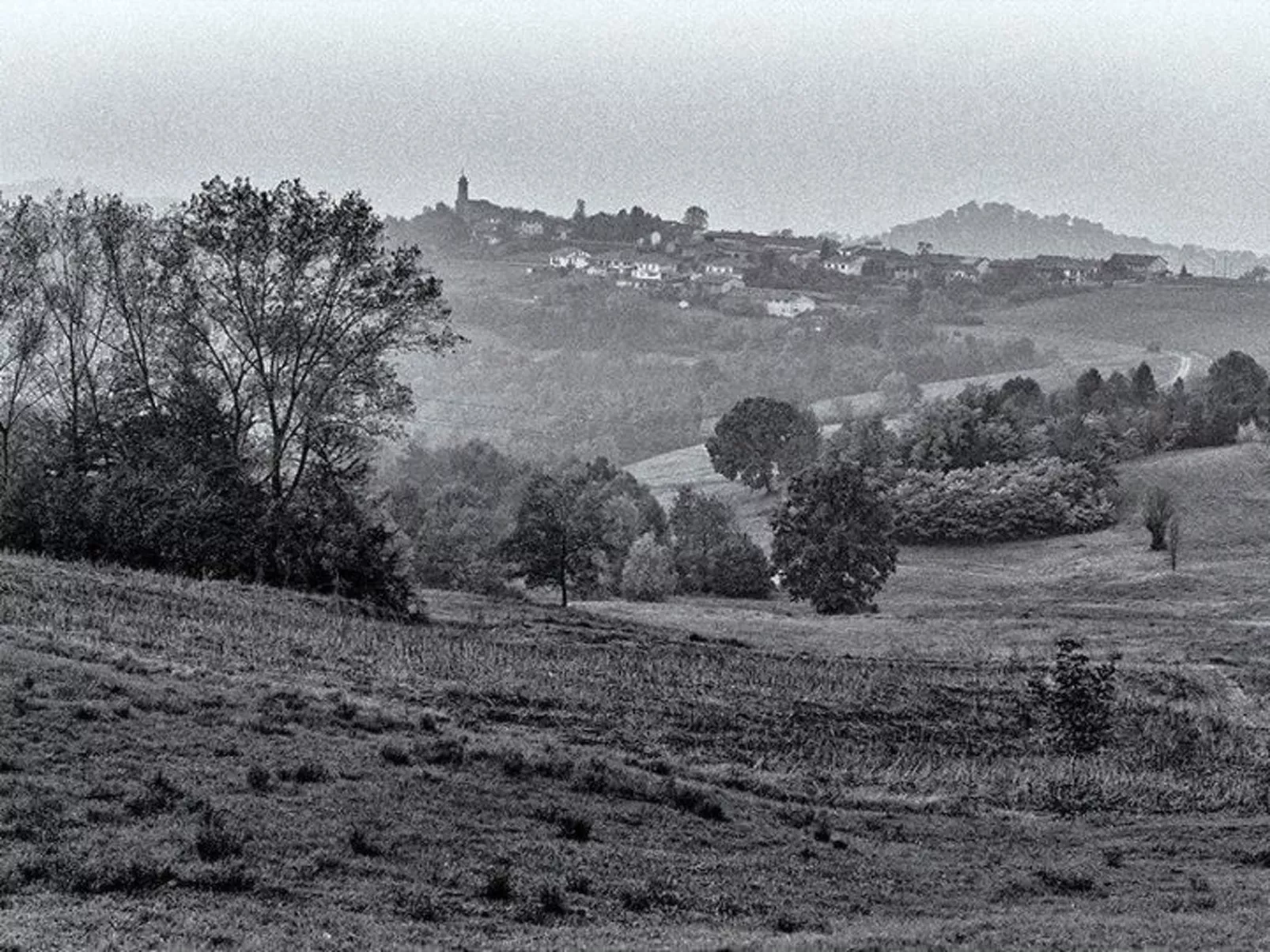 Vergissmeinnicht-Image-tags.info