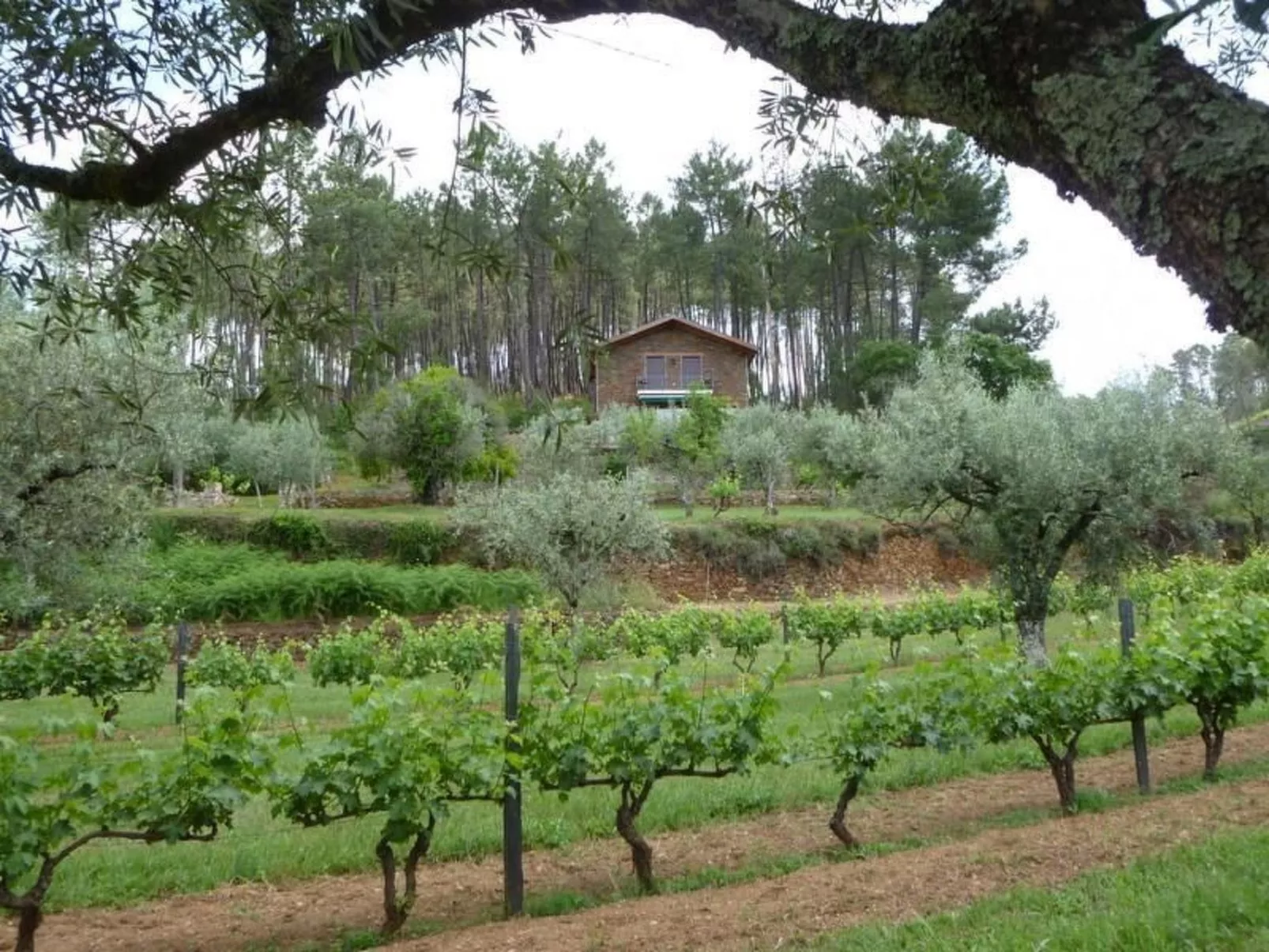 Mit Sonnenterrasse und großem Garten-Buiten