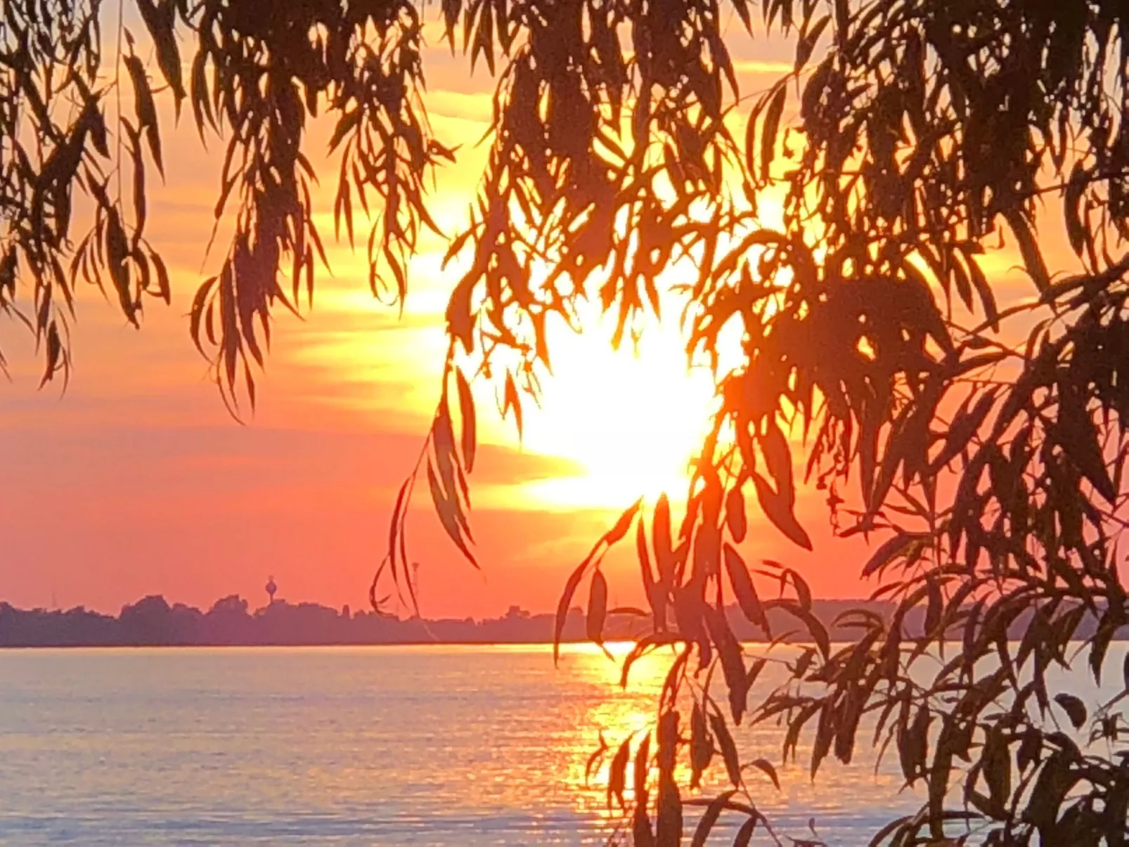 Hütte mit Garten, Grill und Terrasse-Buiten