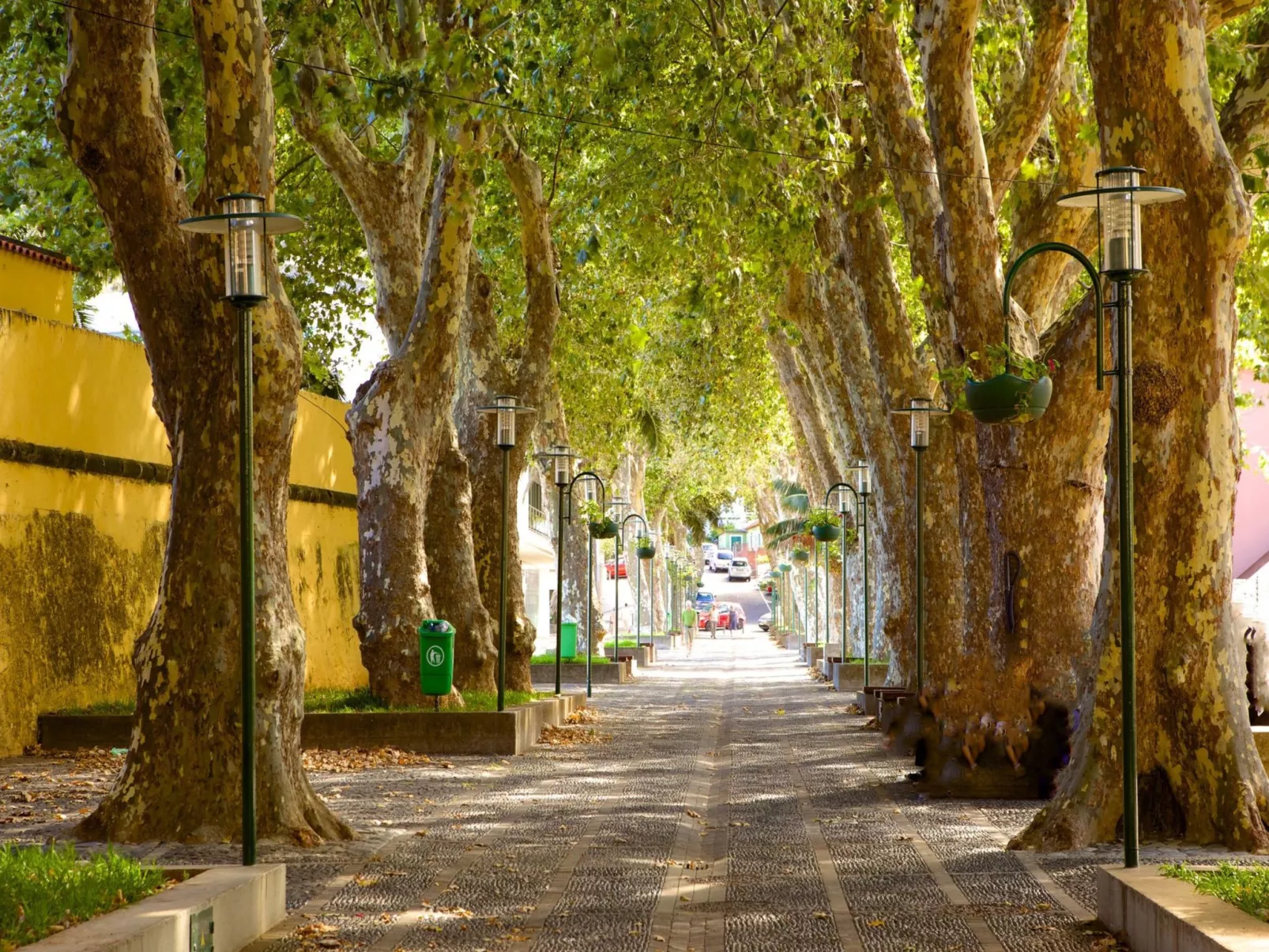 Sunny Beach Machico Wohnung-Buiten