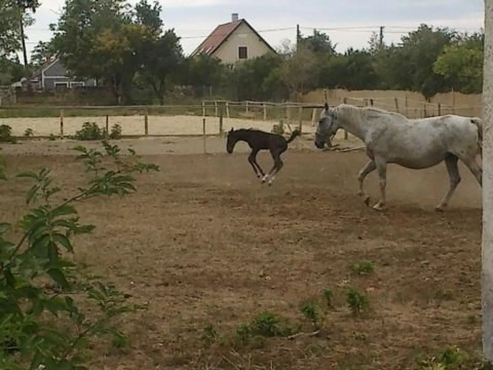 Hétkanyar Vendégház-Image-tags.info