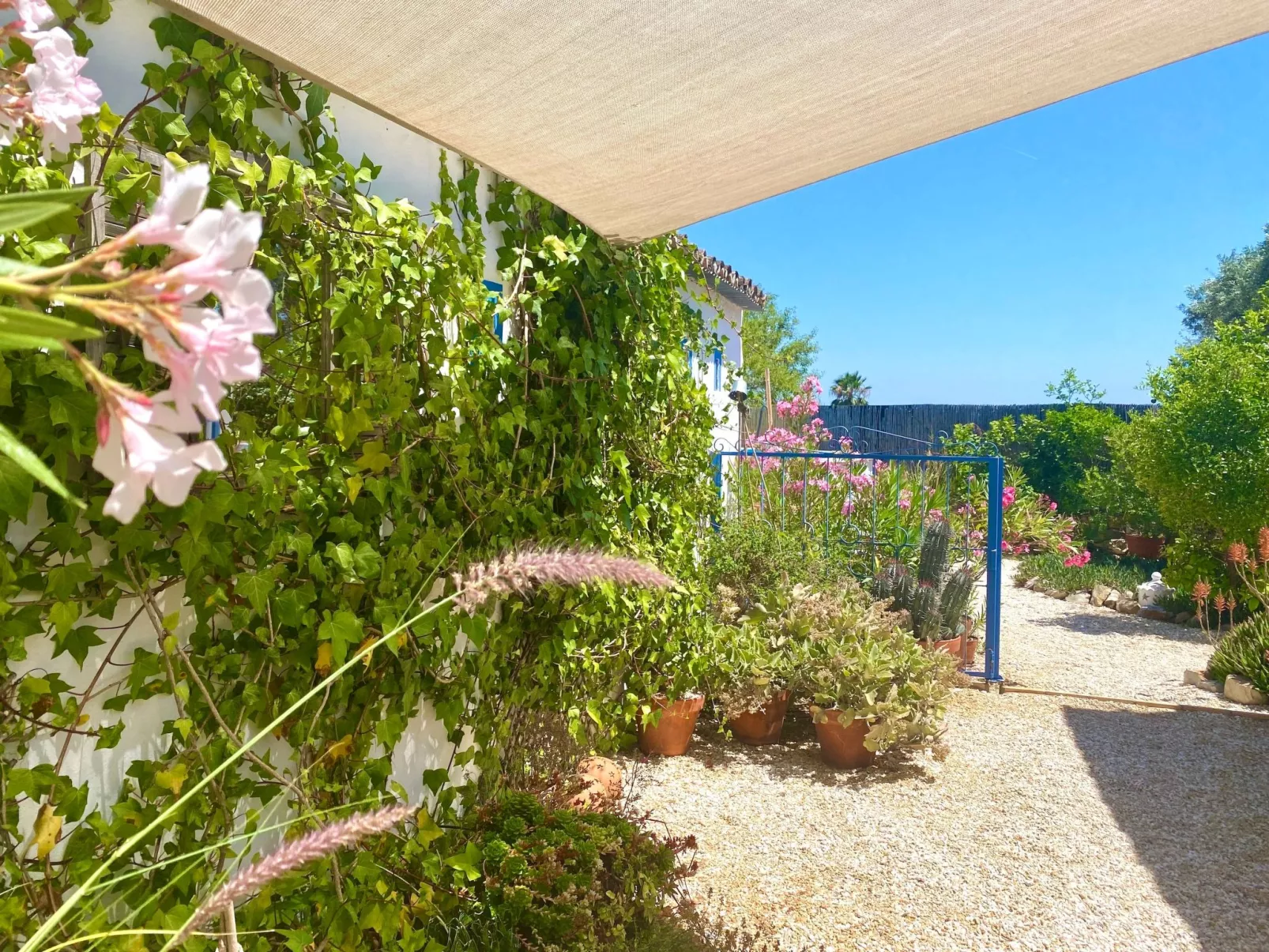 Vila Primaveira , Nur für Erwachsene-Buiten