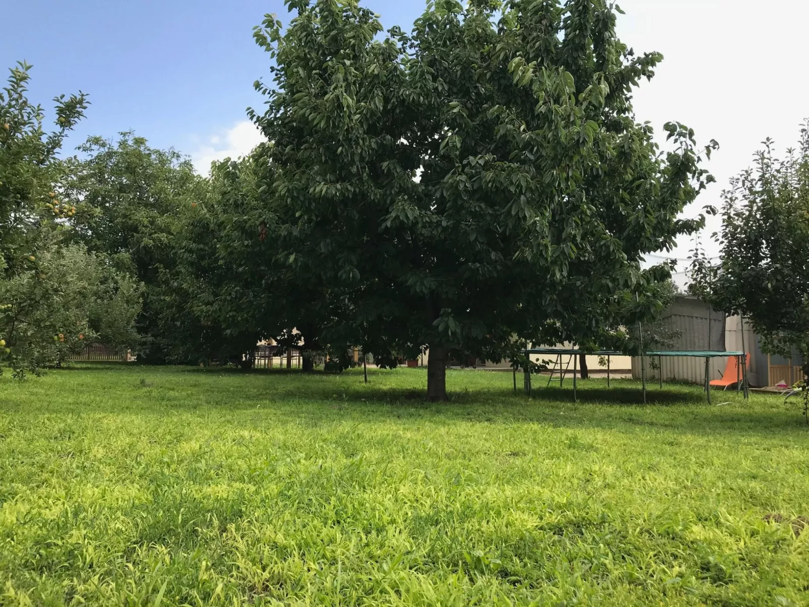 Hungarium am Platte-Buiten