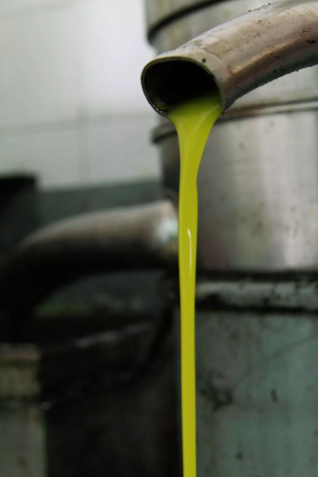 Gemütliches Studio im Erdgeschoss, mit Terrasse-Image-tags.info