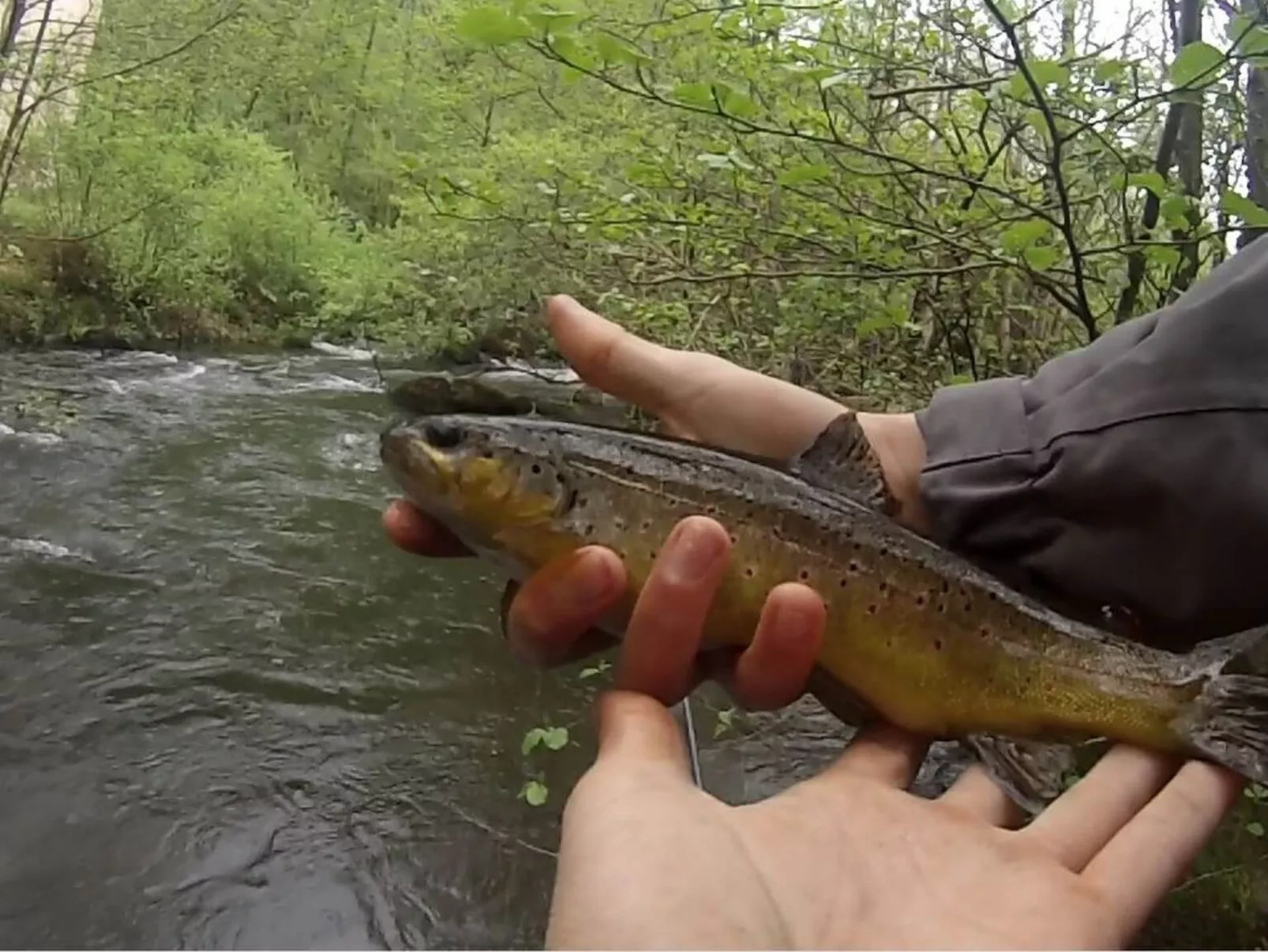 Wassermühle am Fluss-Image-tags.info