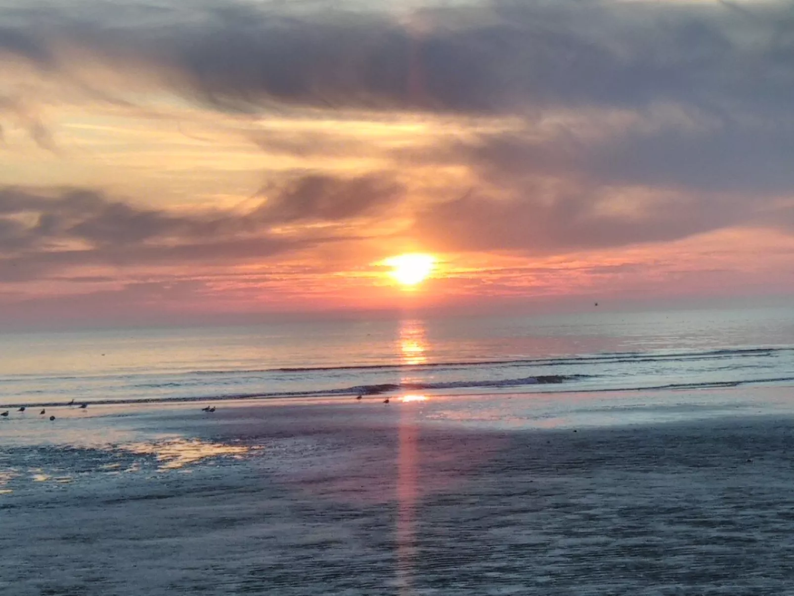 Le Bois aux Ecureuils (Eichhörnchenwald)-Image-tags.info