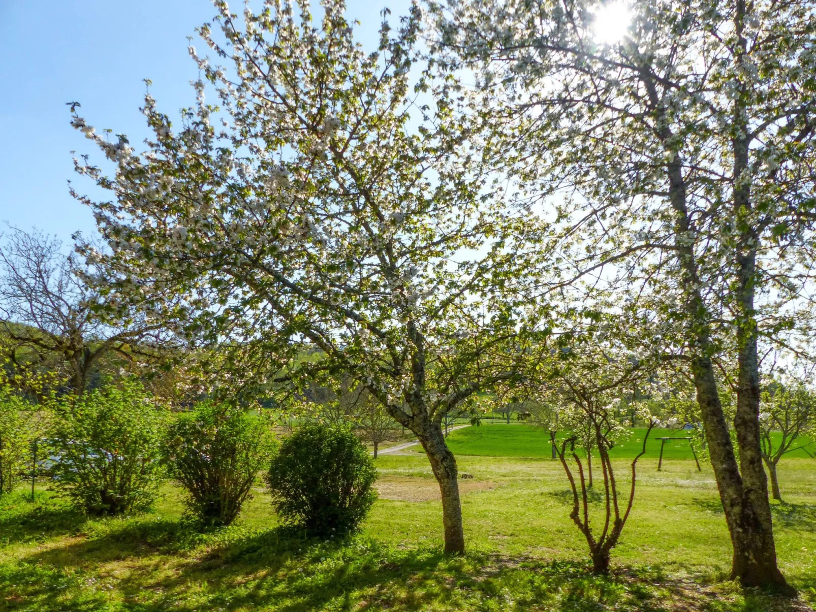 Ehemaliger Bauernhof Le Bonheur in Sainte-Mondane-Buiten