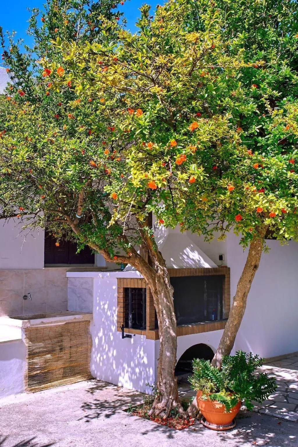 Villa Manthos Traditionelles Kretisches Herrenhaus-Image-tags.info