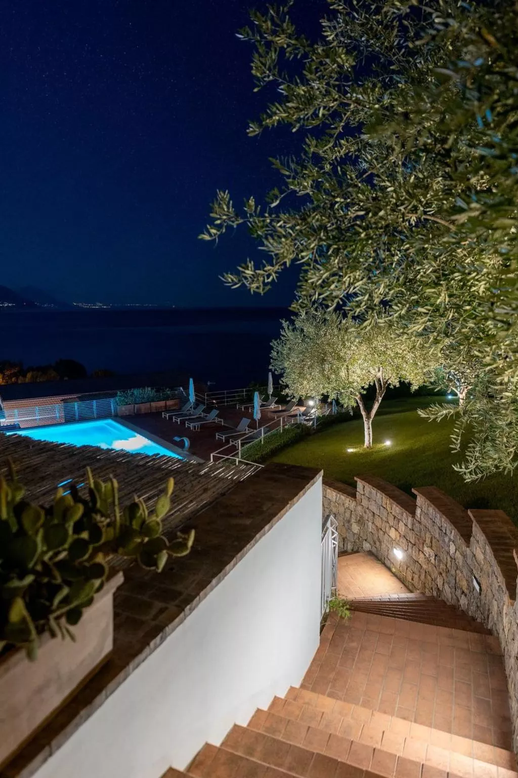 Flach violett-Buiten