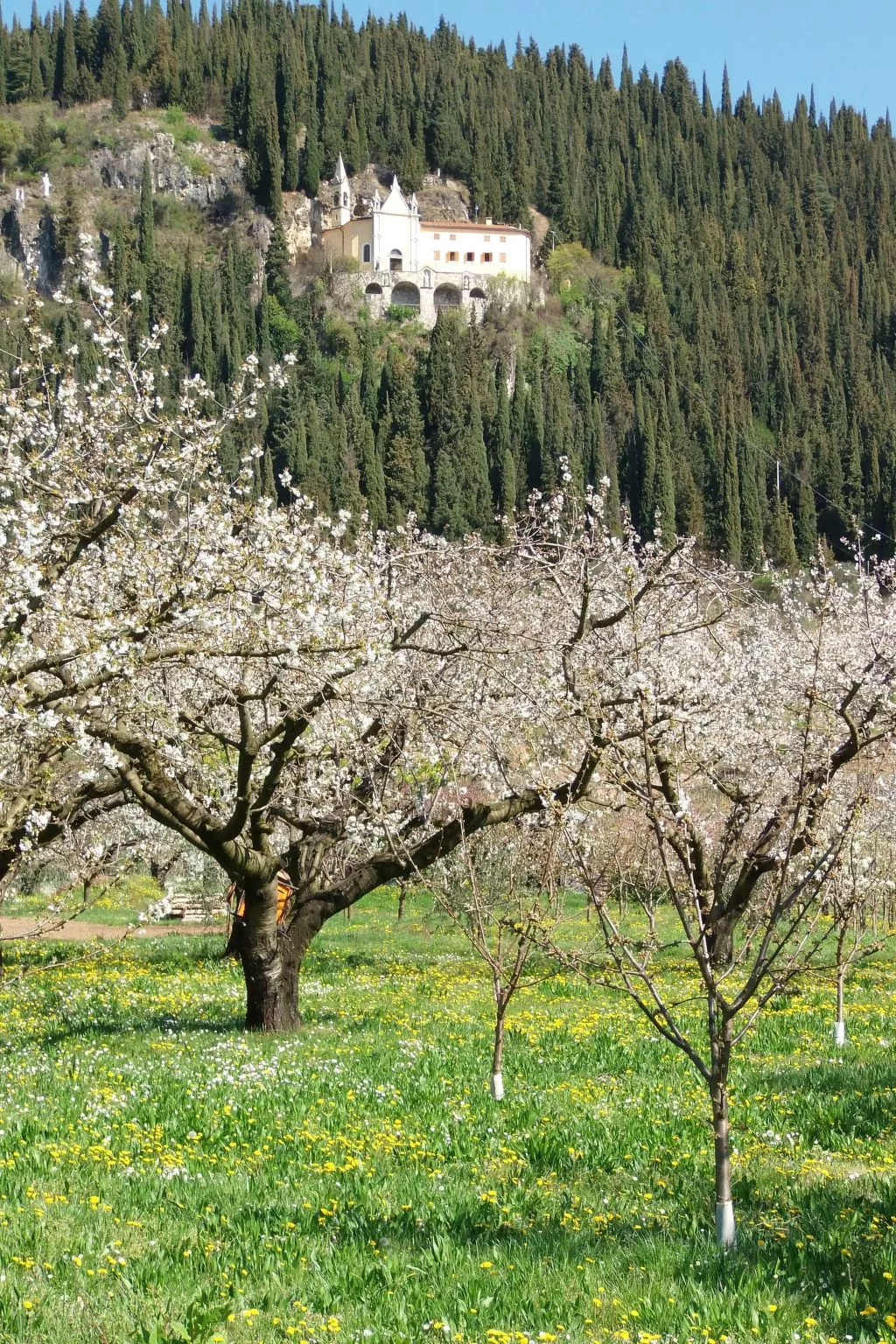Anwesen mit Garten, Grill und Terrasse-Buiten