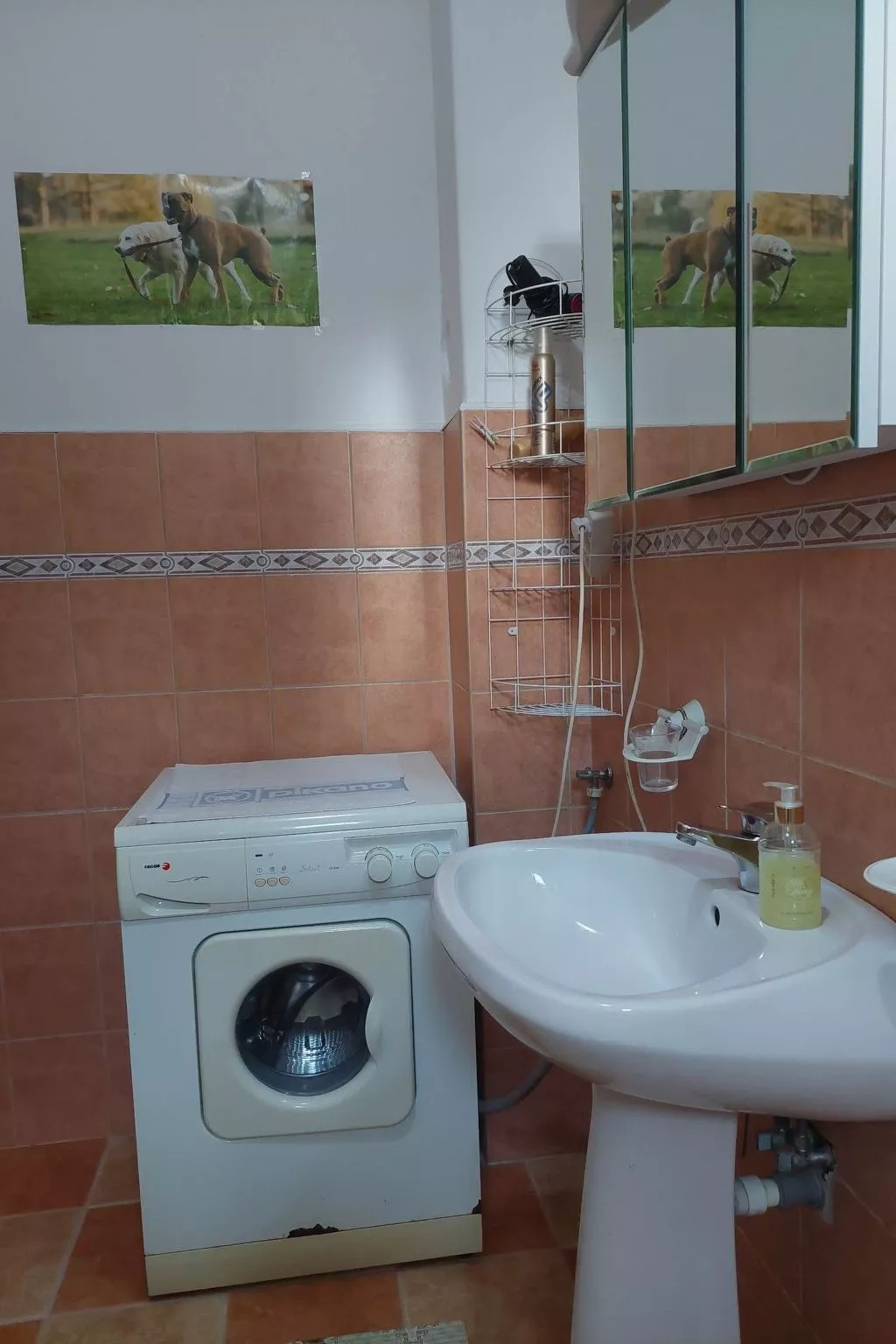 Schönes Ferienhaus mit Pool in ruhiger Lage-Binnen