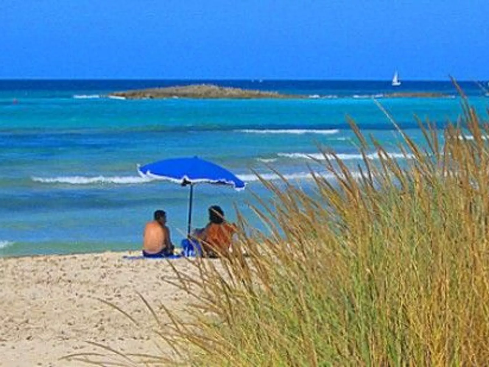 Elba Wohnung am Meer.-Image-tags.info