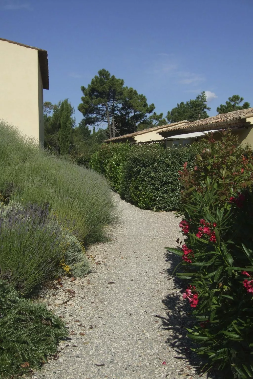 Klimatisierte Wohnung mit Garten-Buiten