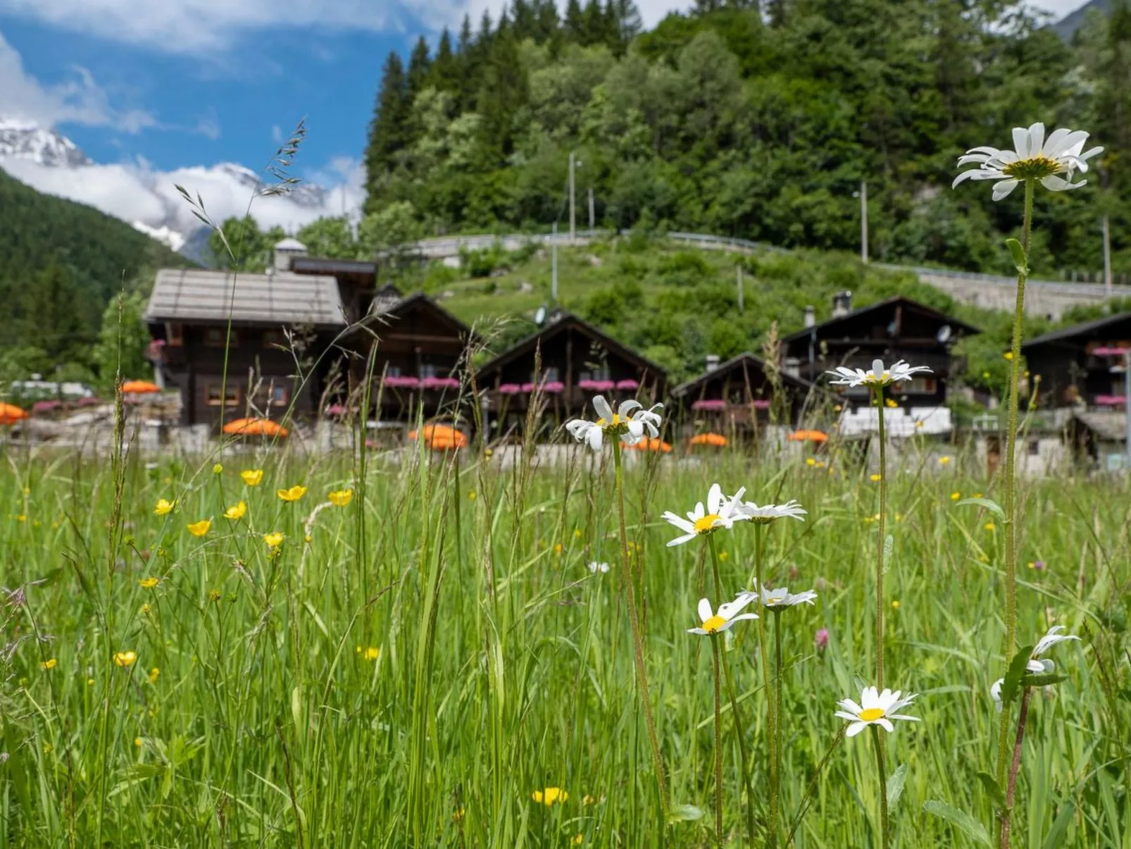 Chalet Borgo Walser Testa 7-Image-tags.info