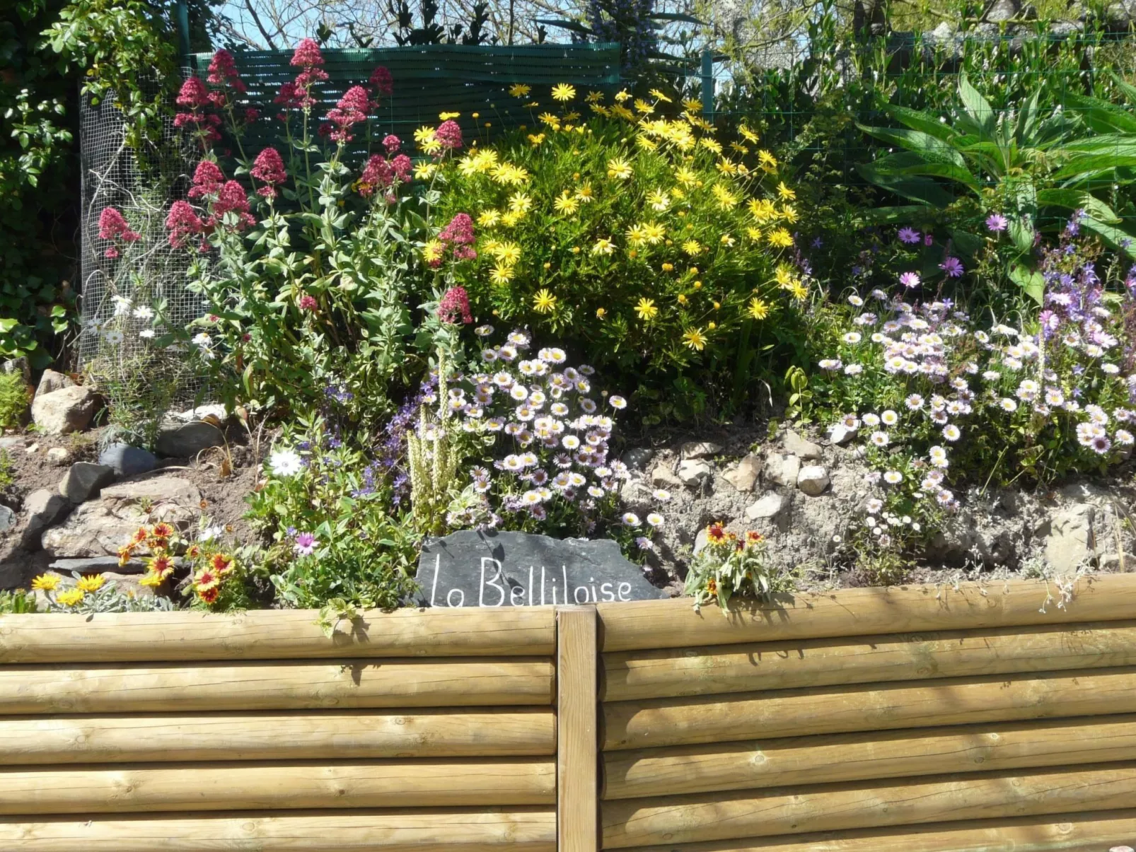 Mit Blick auf das Wasser-Buiten