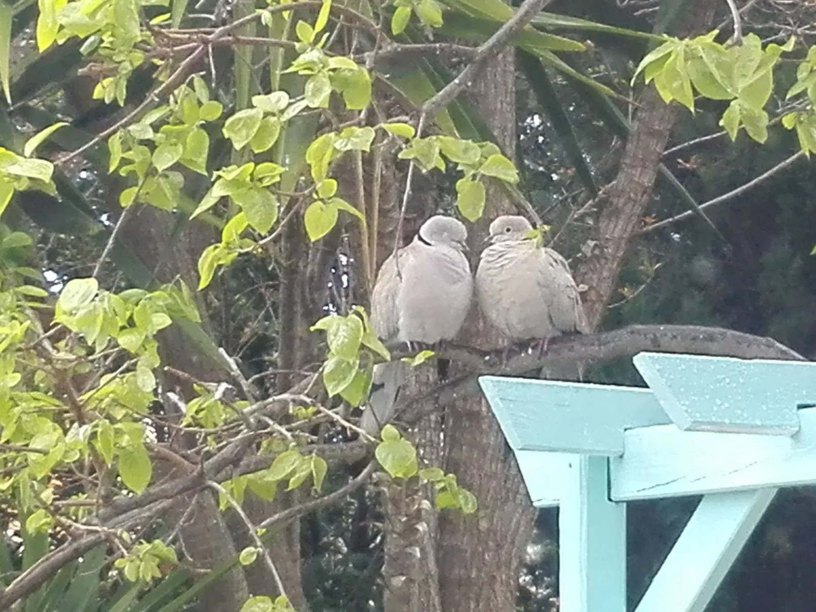 In Méditerranée mit Grill, Garten und Terrasse-Buiten