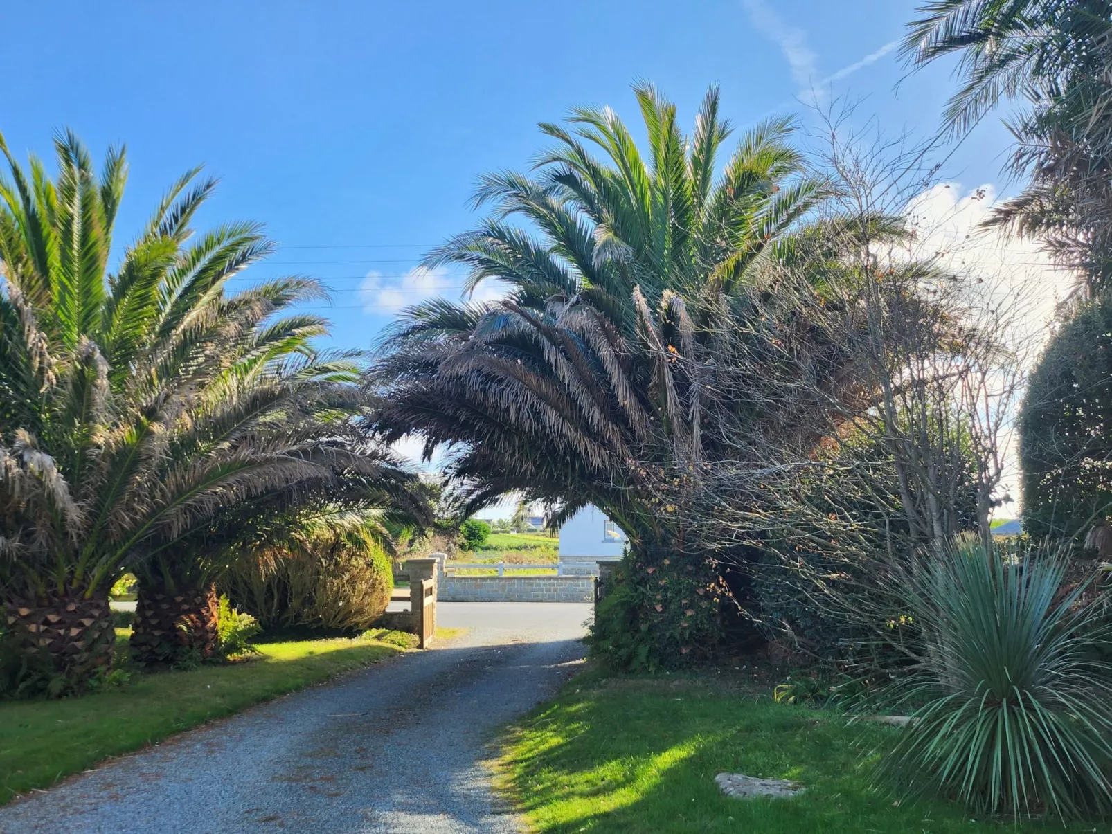 Mit Blick auf das Wasser-Buiten