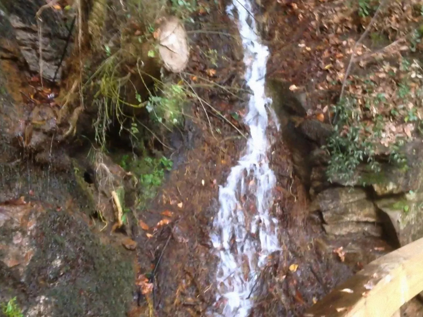 "Großmutters Häuschen" mit überdachter Terrasse-Buiten