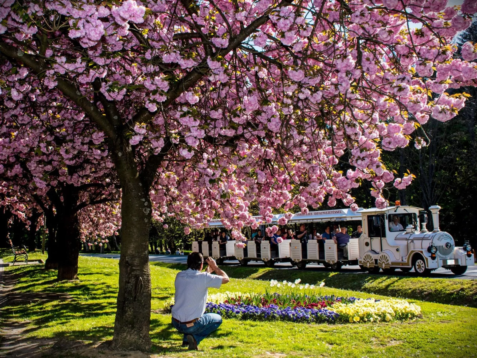 Bequem eingerichtete Wohnung mit großem Garten-Buiten
