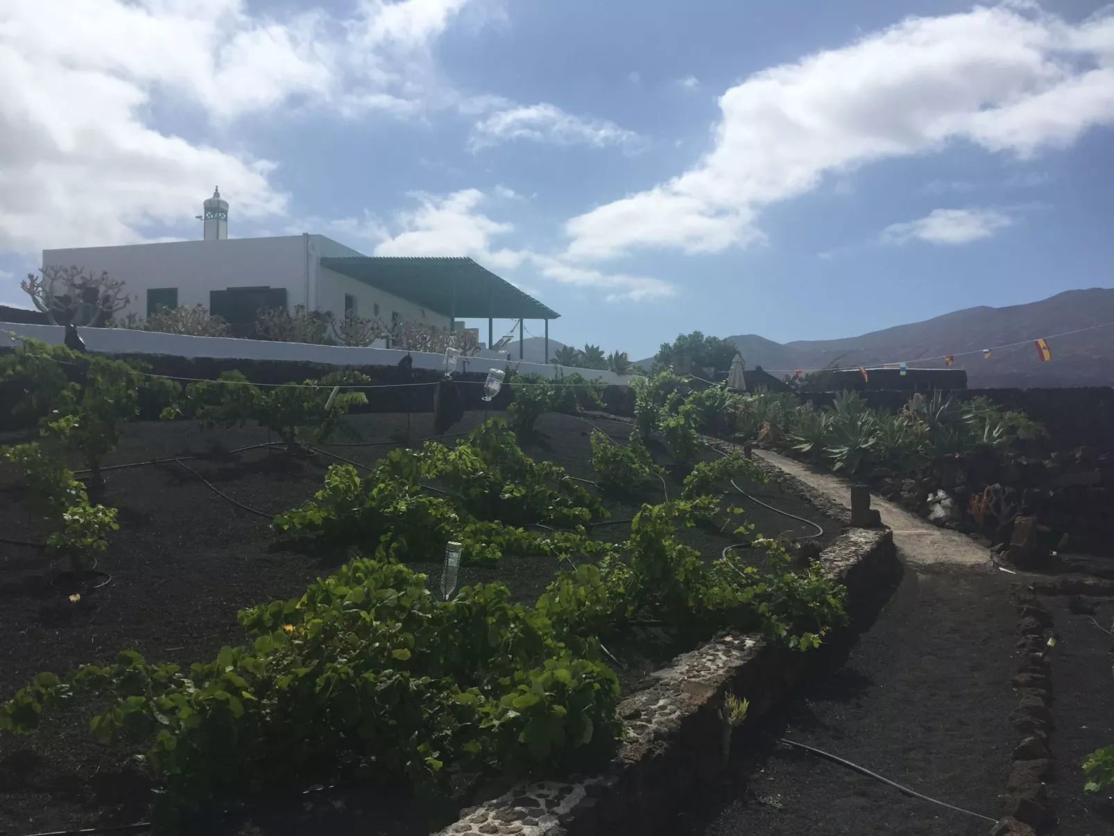 Finca mit Pool und herrlichem Meerblick-Buiten