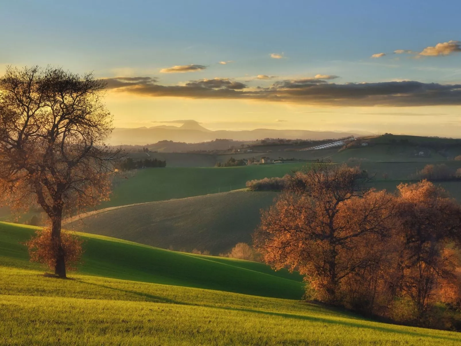 'Casa il Girasole'-Buiten