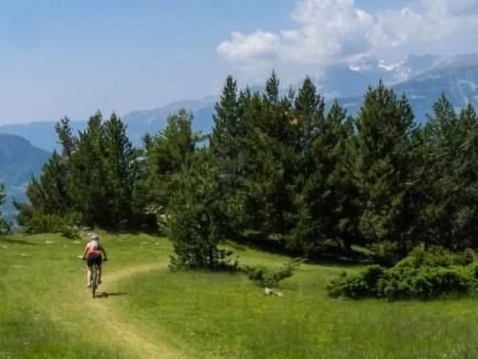 Appartement mit Terrasse-Image-tags.info