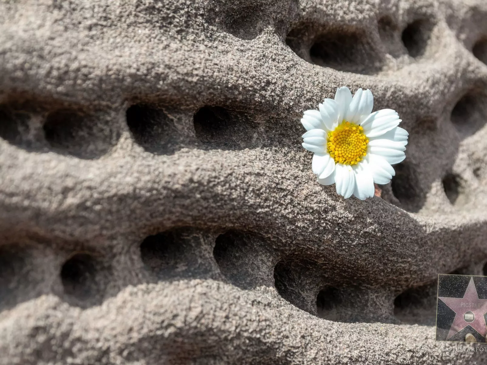 Moderne, frische Familienvilla Allondra - Image-tags.info