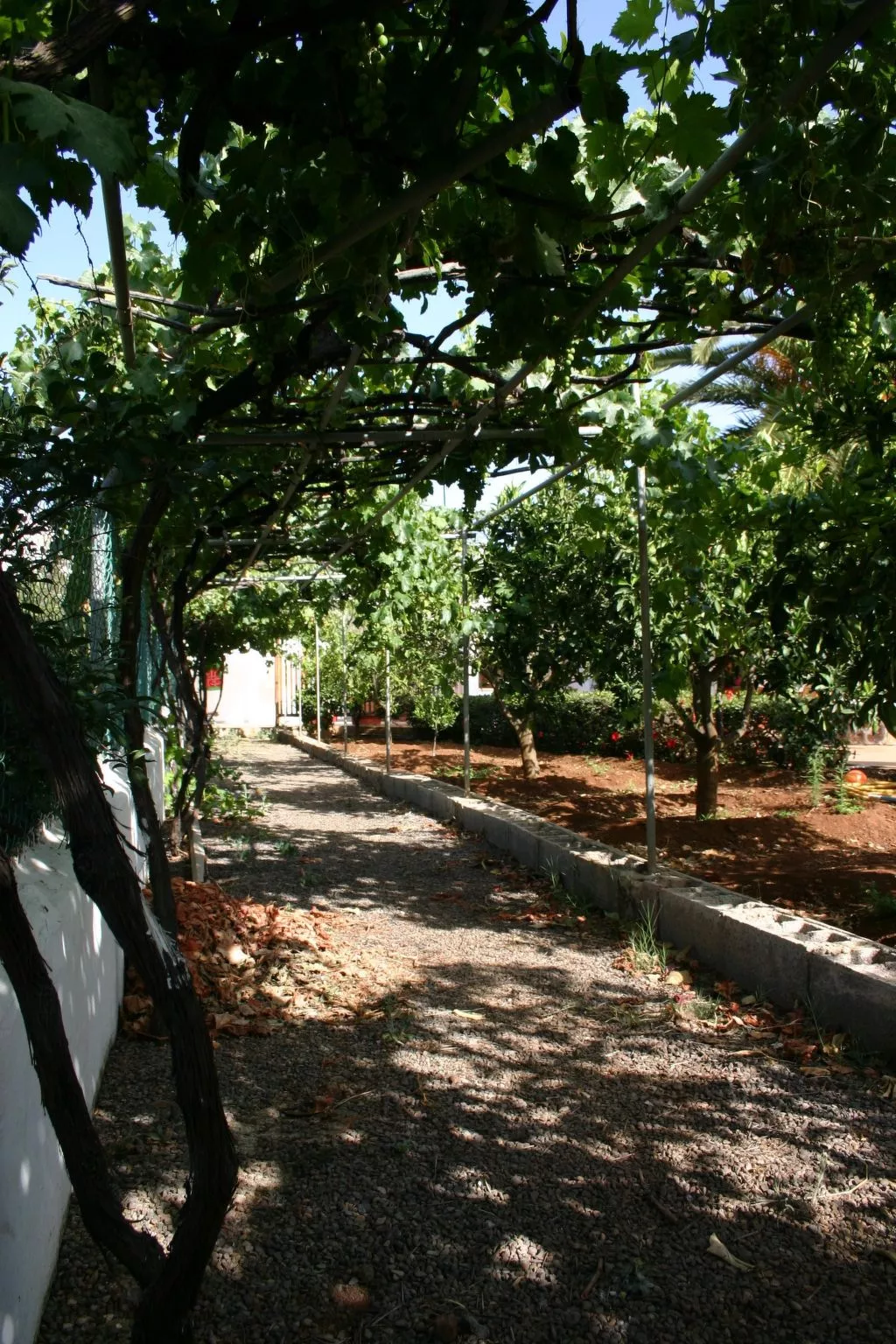 Typisch kanarische Finca Elena mit eigenem Pool-Buiten