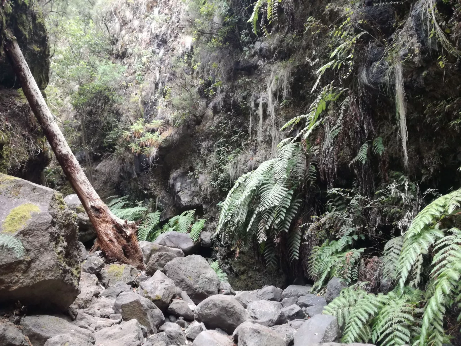 Haus La Majada-Buiten