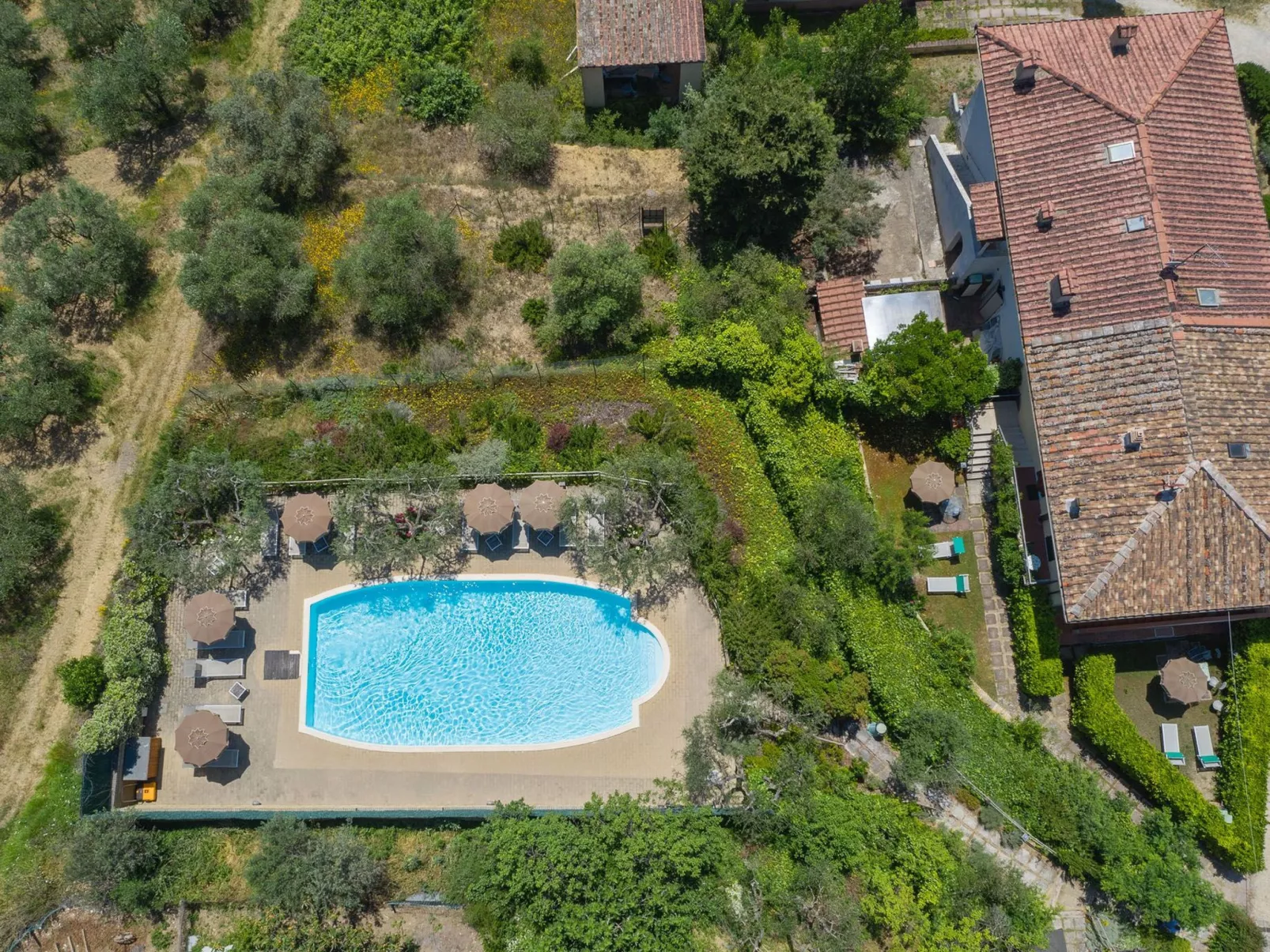 'Eule-Image-tags.info