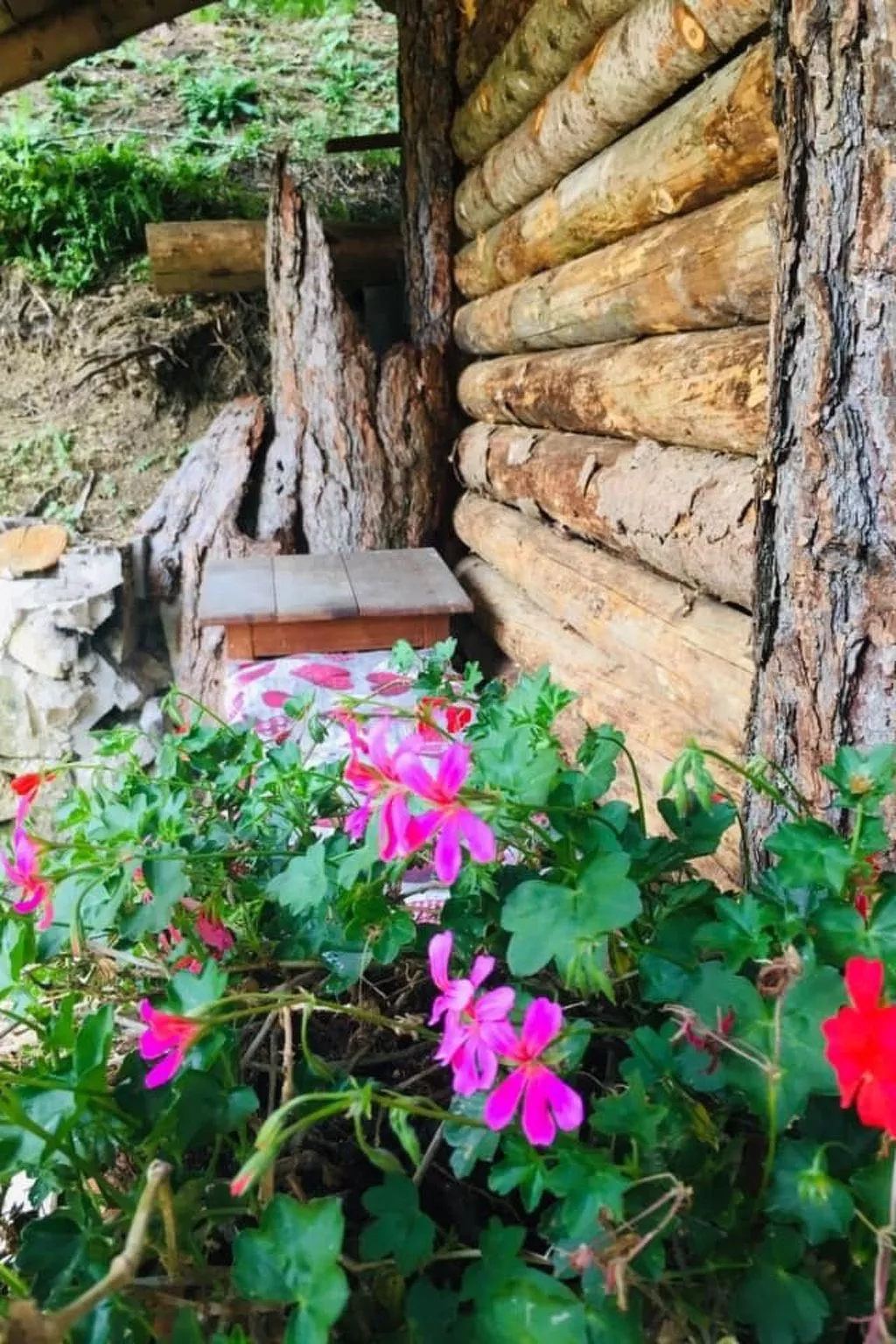 Mit Sauna in Pieve Di Bono-Buiten