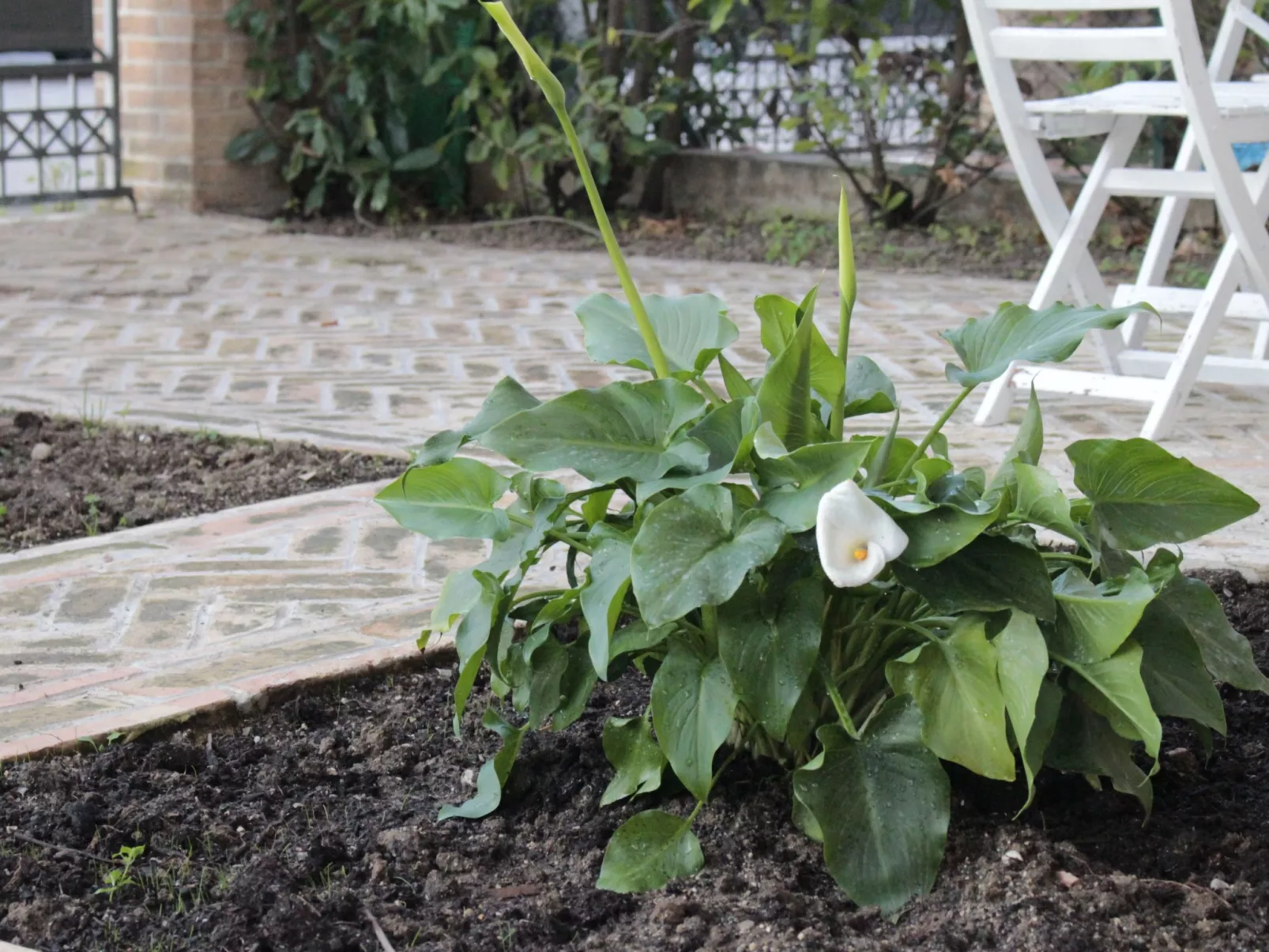 "Daphne Experience".-Buiten