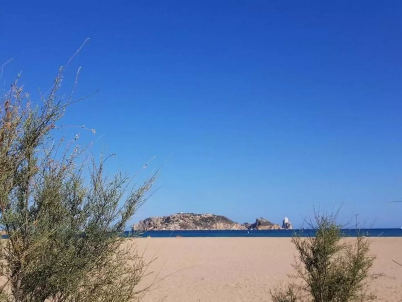 "Acacies 25-Image-tags.info