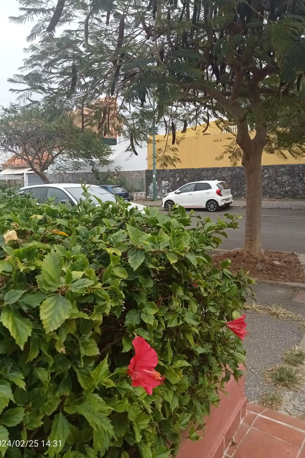 Beatifull apto Meerblick Playa Jardin wiffi-Buiten