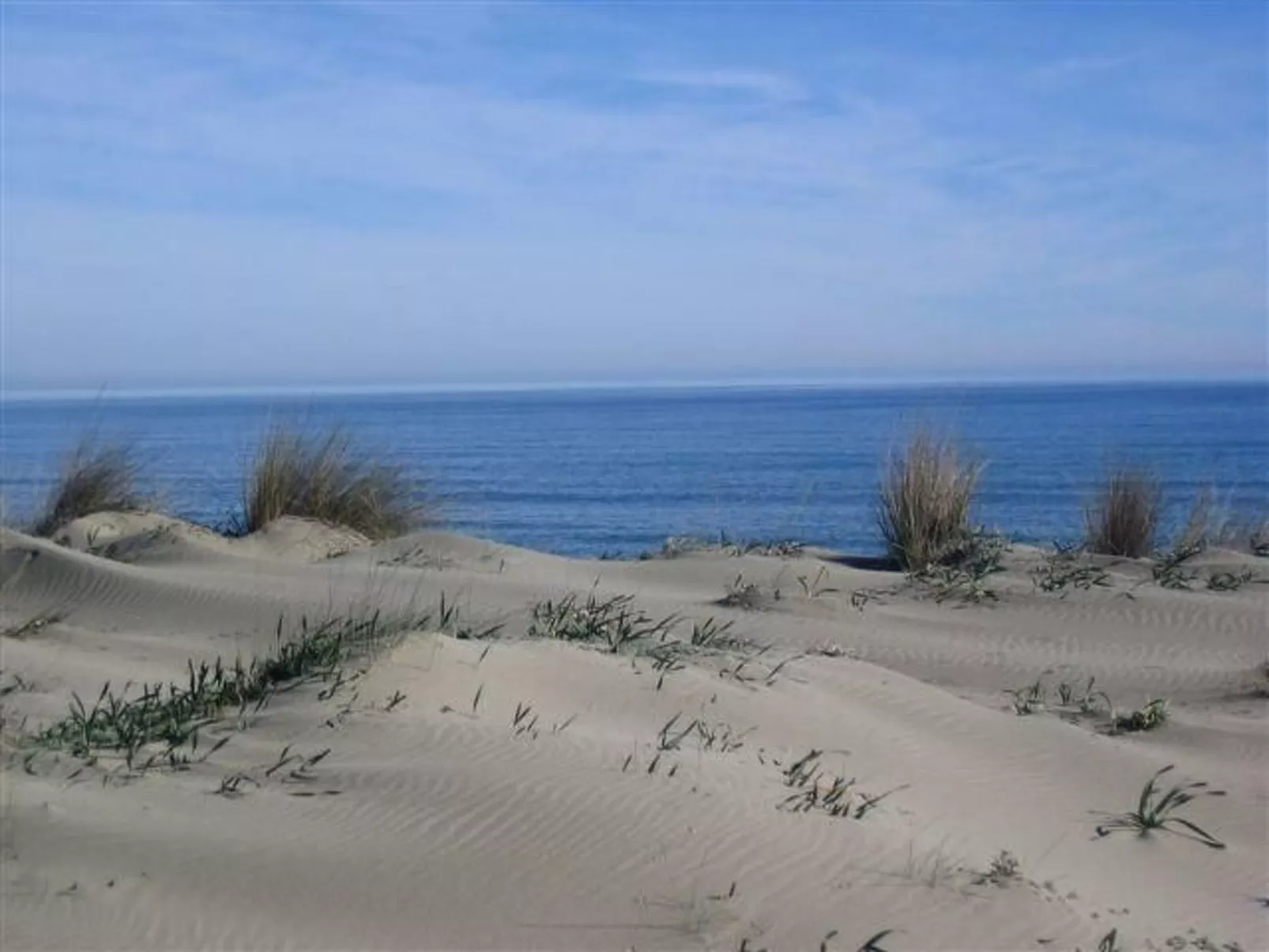 Natur, ökologische Nachhaltigkeit, nur für Erwachsene, Meer in der Nähe-Image-tags.info